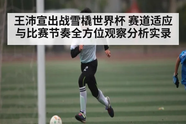 王沛宣出战雪橇世界杯 赛道适应与比赛节奏全方位观察分析实录